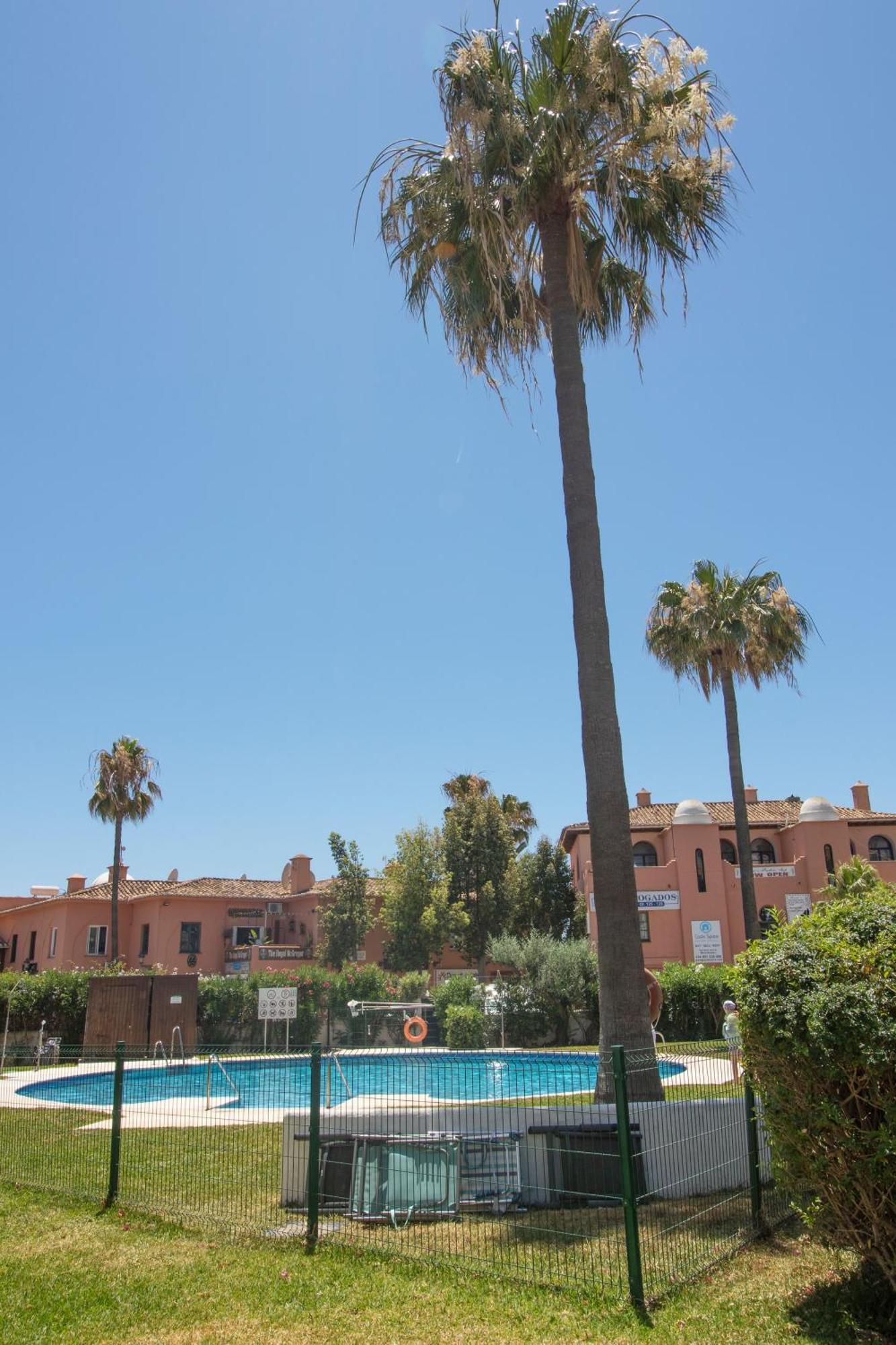 Studio In Calypso,Calahonda 200 Metres From The Beach Sitio de Calahonda Exterior photo
